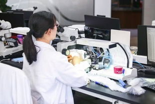 品牌缺位、真偽難辨、款式單一 珠寶業觸網求變，供應鏈是關鍵突破口